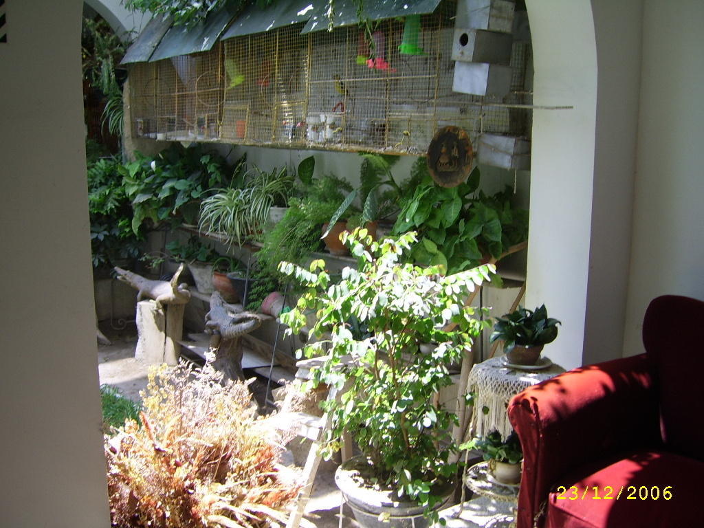 Hostal Camiluz Nazca Exterior foto